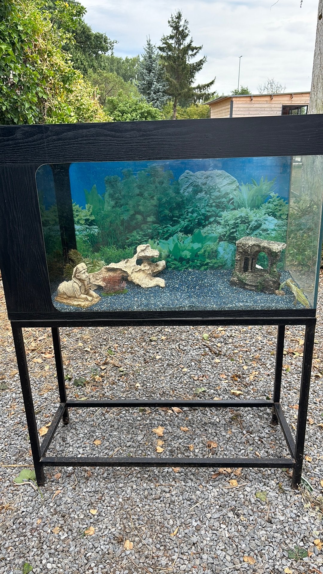 Aquarium met verwarmingselement en decoratie, Ophalen, Zo goed als nieuw, Decoratie