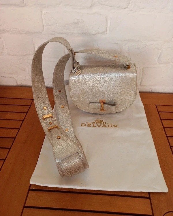 Delvaux zilveren leren tas, Verzenden, Zilver, Leer
