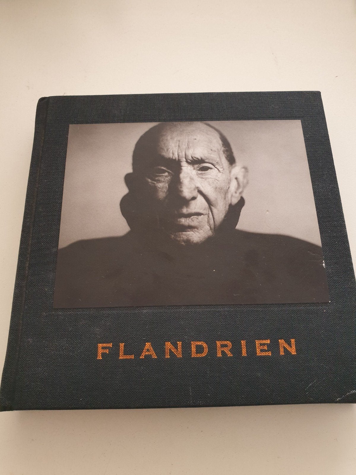 FLANDRIEN, Boeken, Ophalen of Verzenden, Zo goed als nieuw
