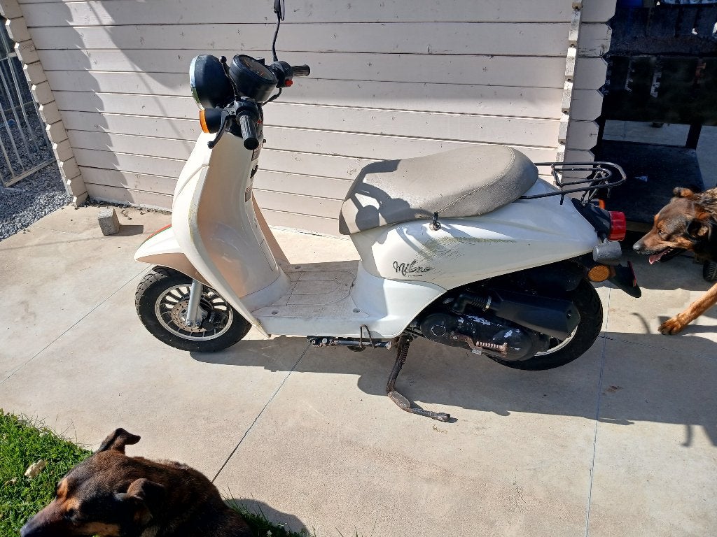 Brommer b klasse met werk, Fietsen en Brommers, Brommers | Honda, Ophalen