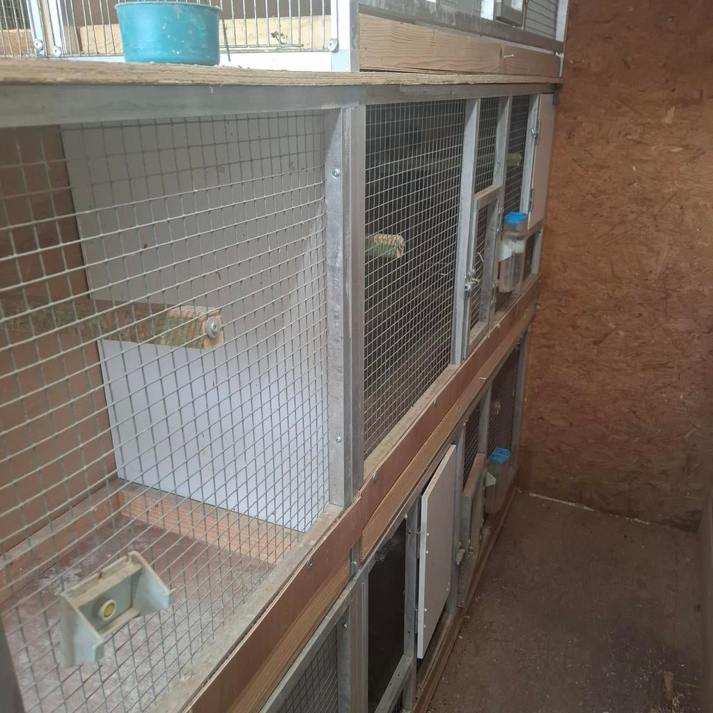 16 kweekkooien af te breken, Animaux & Accessoires, Oiseaux | Cages & Volières, Comme neuf, Cage d'élevage, Enlèvement
