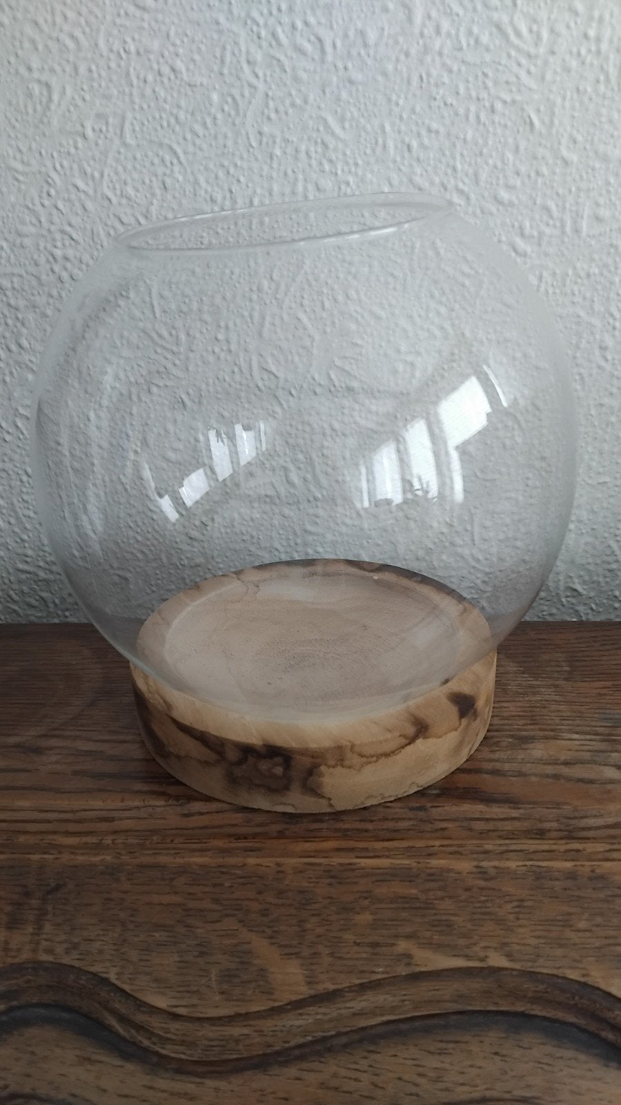 Globe en verre pour plante sur un support en bois, Maison & Meubles, Plantes d'intérieur, Enlèvement ou Envoi, Autres espèces
