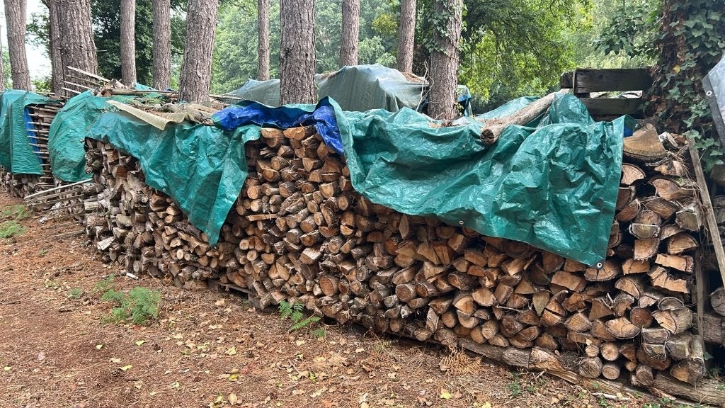 Bois de chauffage sec à vendre, 6 m³ ou plus, Enlèvement, Autres essences de bois, Bûches
