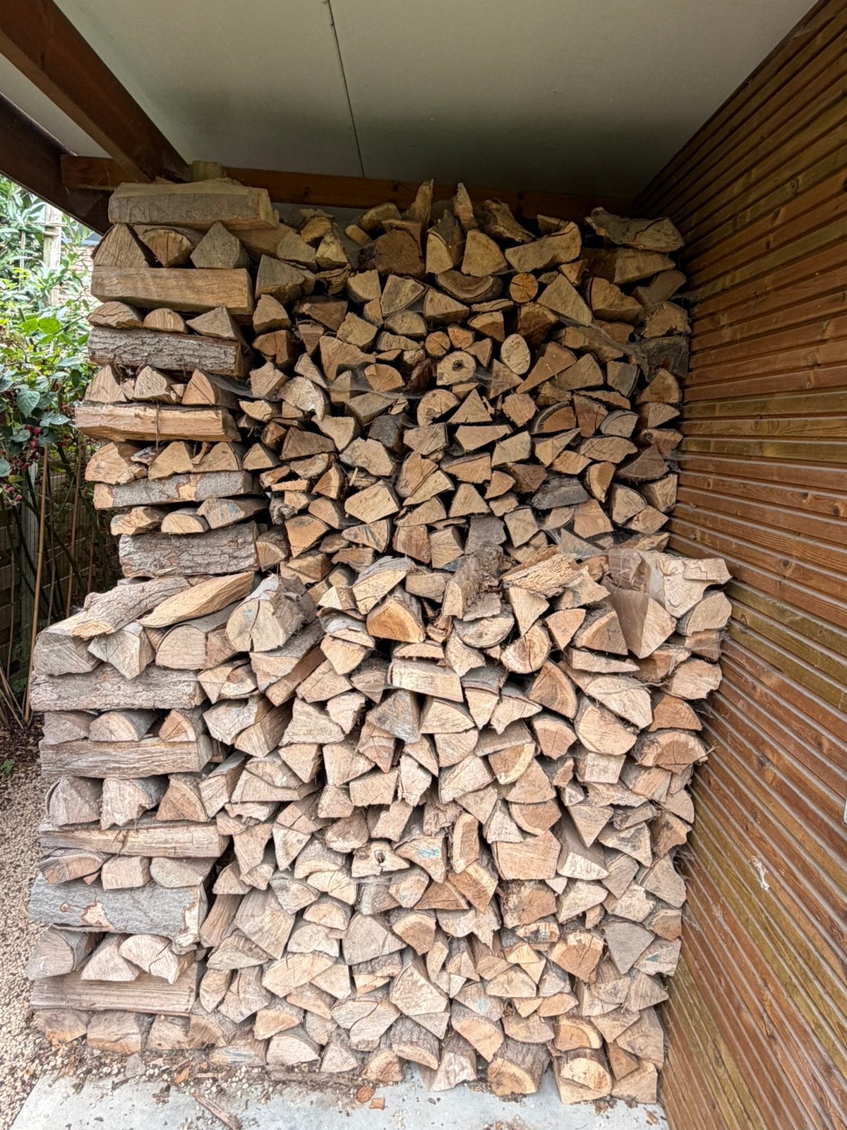 Droog brandhout te koop, Enlèvement, Hêtre