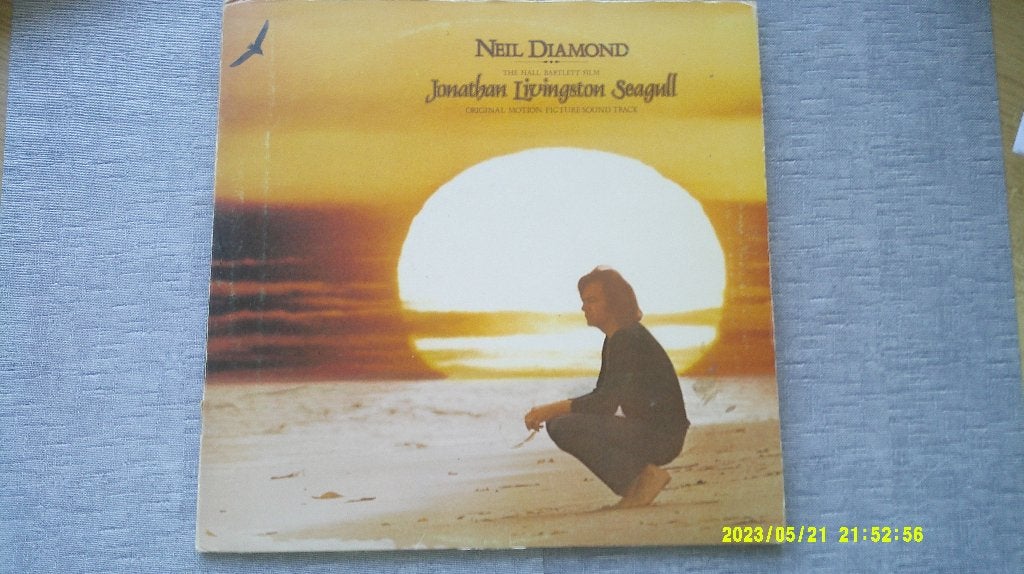 Neil Diamond – Jonathan Livingston Seagull (LP), CD & DVD, Vinyles | Pop, Utilisé, Enlèvement ou Envoi