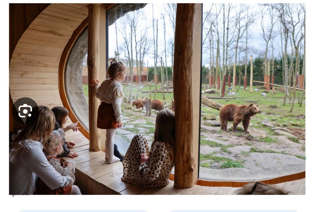Entree pairi daiza, Tickets & Billets, Loisirs | Jardins zoologiques