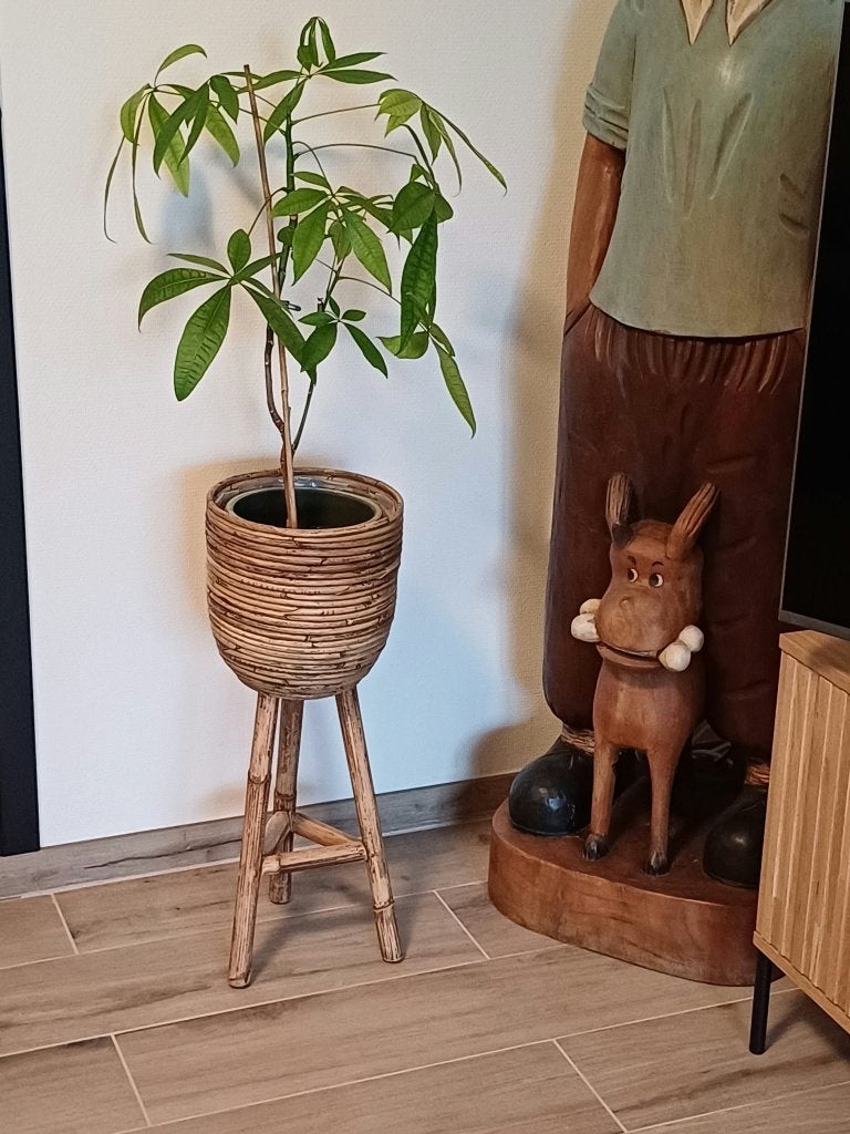 Rotan/Bamboo ? plantenstaander als NIEUW zie objecten, Huis en Inrichting, Ophalen