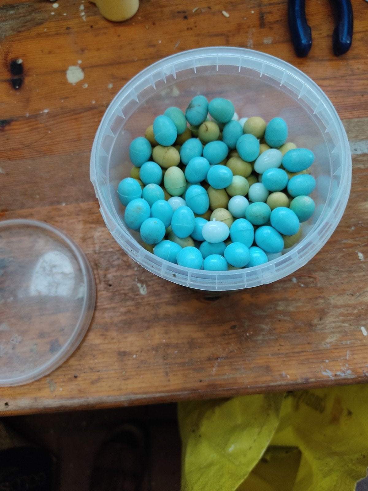 vogelmateriaal, Dieren en Toebehoren, Ophalen