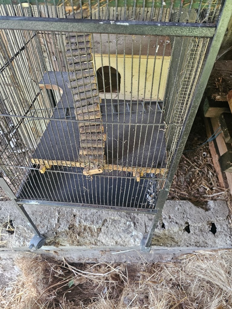 Knaagdierkooi, Dieren en Toebehoren, Ophalen, Kooi, Gebruikt, Minder dan 75 cm