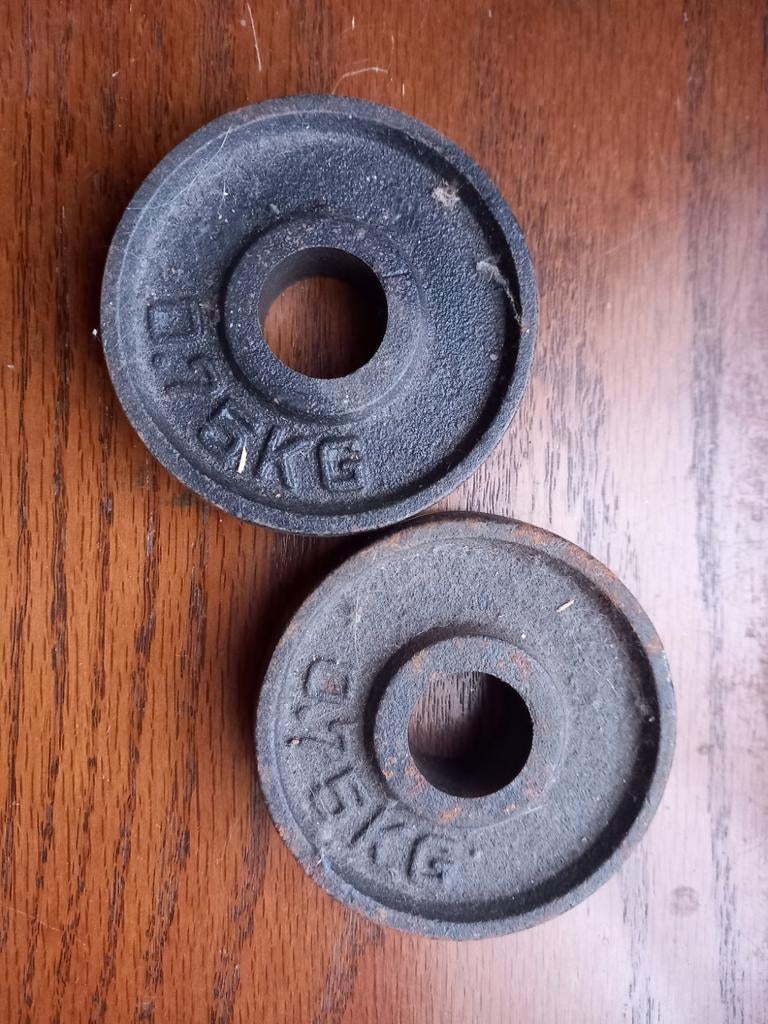 2 halter schijven van elk 0,75 kg, Sport en Fitness, Ophalen