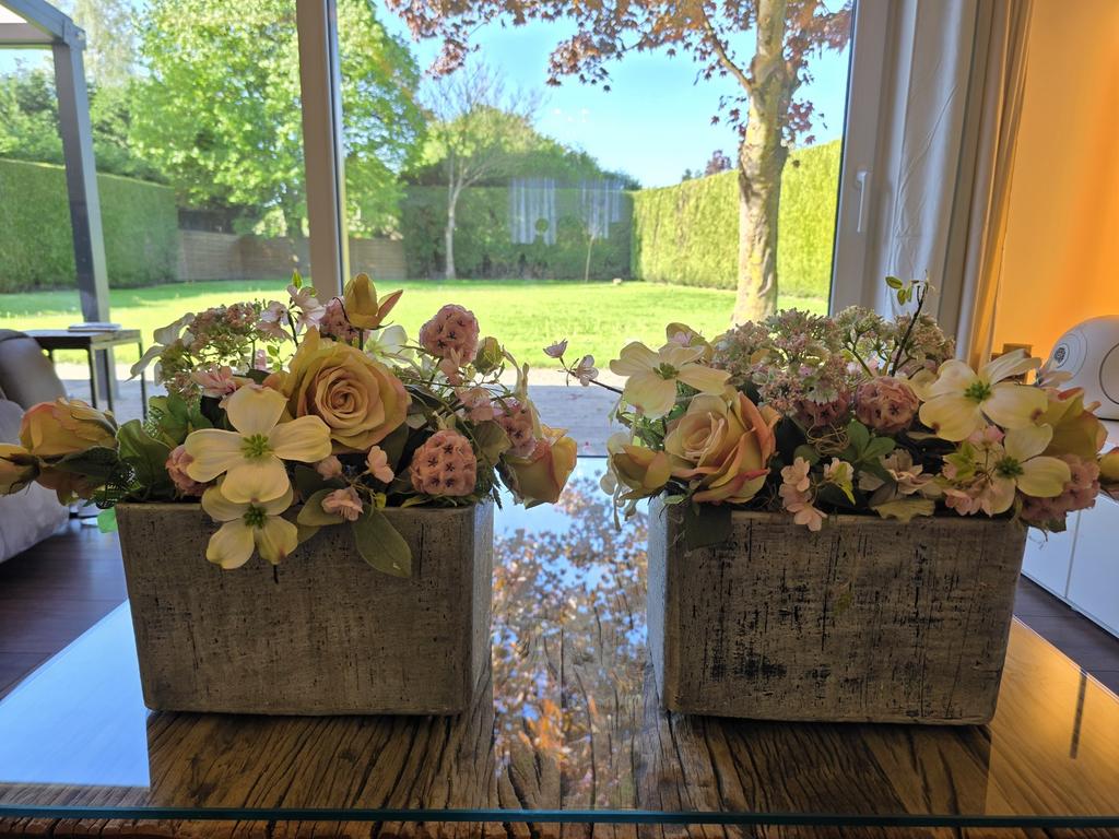 Droogbloemen, Ophalen, Zo goed als nieuw