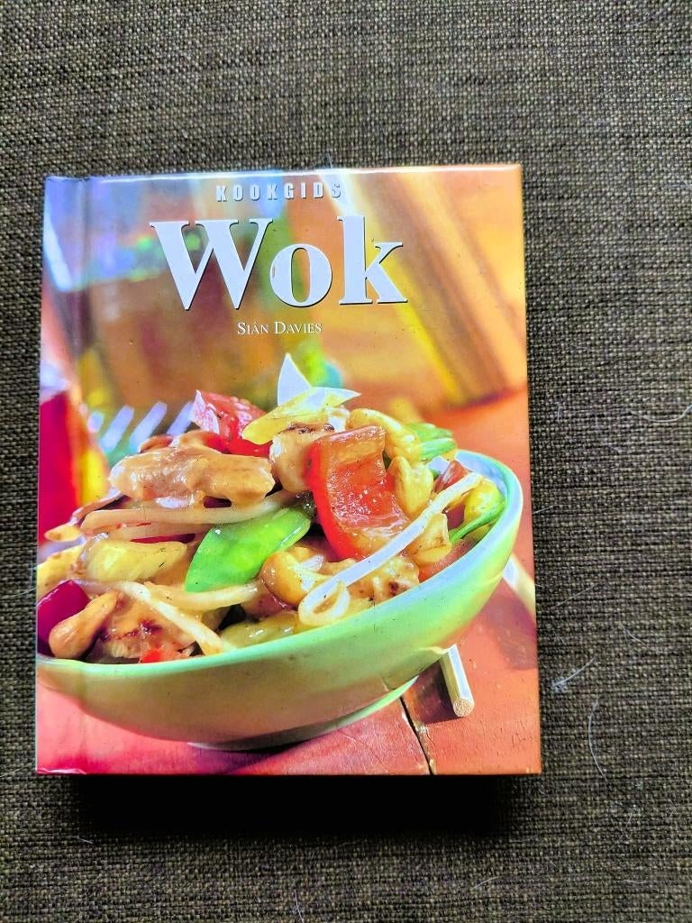 Kookgids wok – in zeer mooie staat., Enlèvement ou Envoi