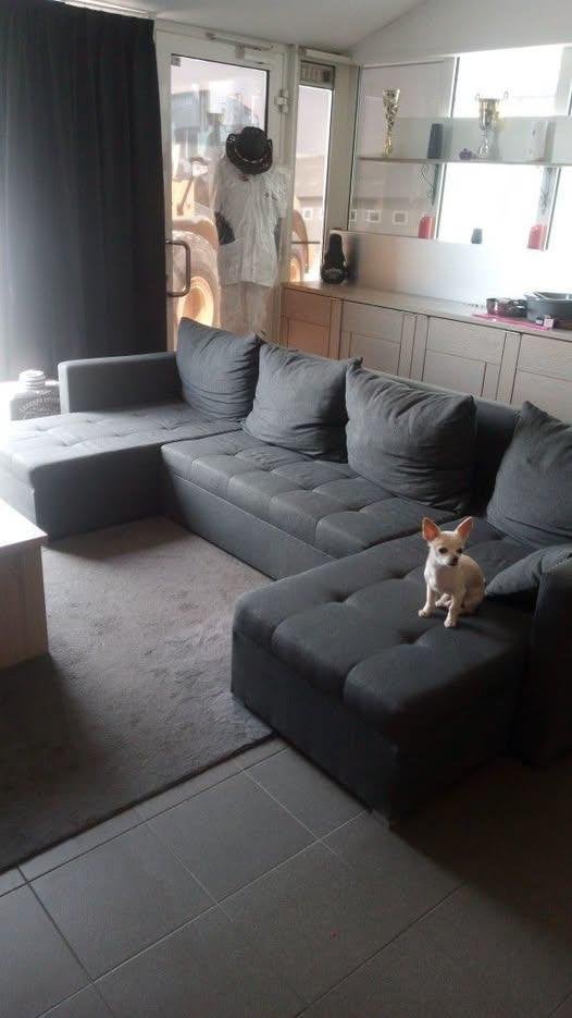 salon, Ophalen, Zo goed als nieuw, Stof