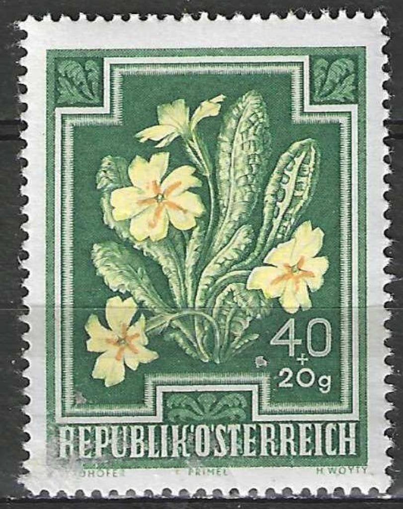 Oostenrijk 1948 - Yvert 725 - Primavera (PF), Postzegels en Munten, Verzenden, Postfris