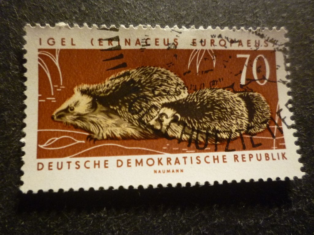 DDR 1963 Mi 982(o) Gestempeld/Oblitéré, Verzenden, DDR, Gestempeld