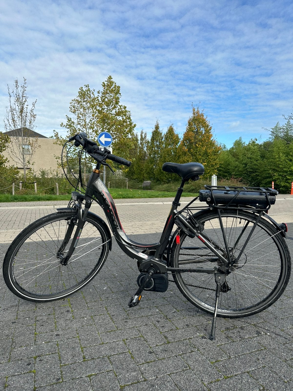 Thompson Elektrische Fiets – Bosch Motor, Fietsen en Brommers, Ophalen, Gebruikt, Overige merken