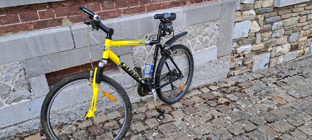 VTT Homme, Fietsen en Brommers, Fietsen | Heren | Sportfietsen en Toerfietsen, Ophalen, Gebruikt, Velgrem, Giant