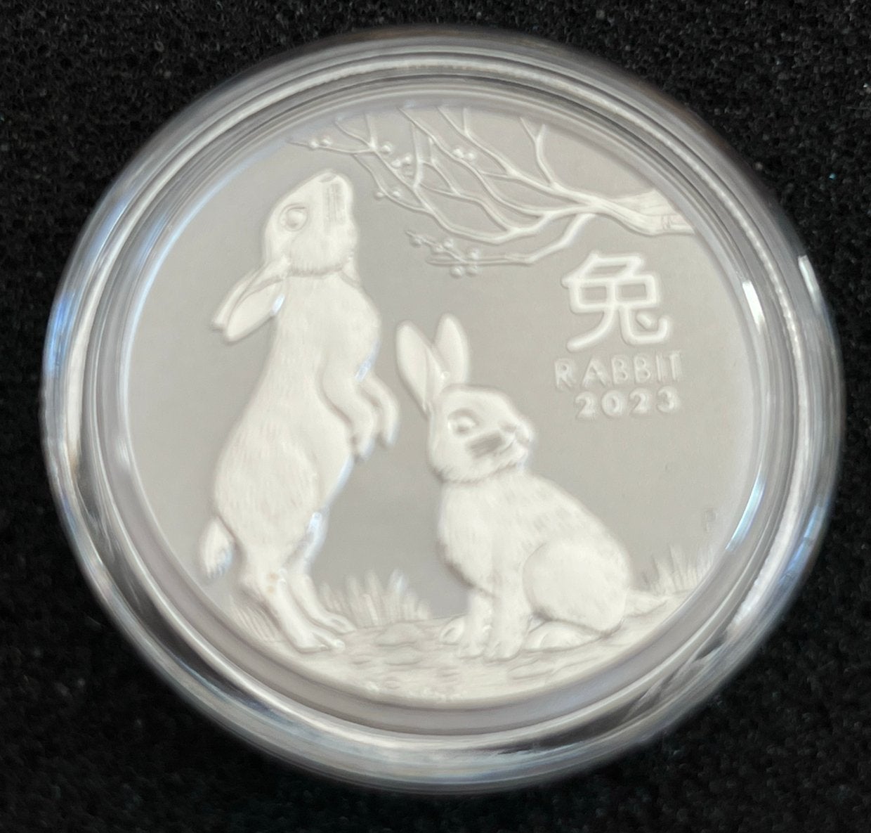1/2 oz zilveren munt Lunar 2023 Rabbit / Konijn serie III, Ophalen of Verzenden