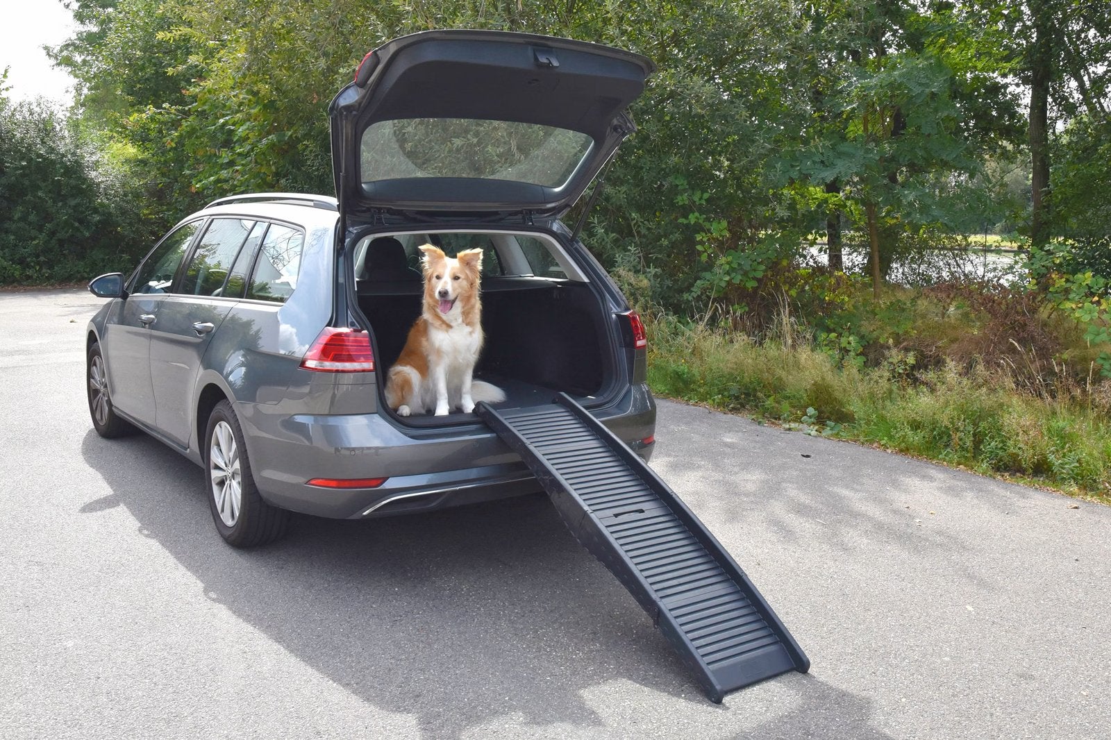 Inklapbare hondenhelling -loopplank voor in auto., Dieren en Toebehoren, Honden-accessoires, Ophalen, Nieuw, Hondenloopplank