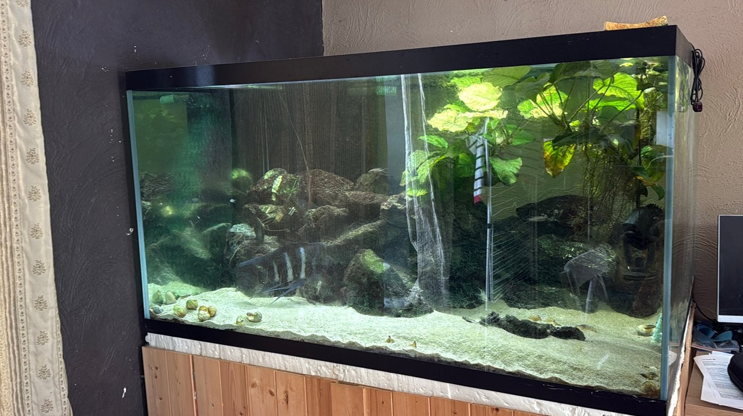 Aquarium 1000 liter, Dieren en Toebehoren, Vissen | Aquaria en Toebehoren, Zo goed als nieuw, Overige typen, Inclusief controller