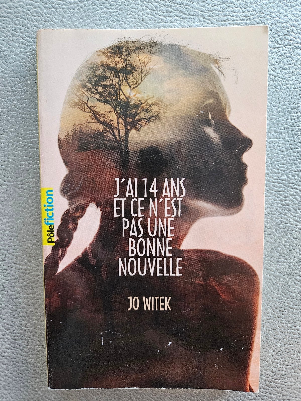 Livre J'ai 14 ans et ce n'est pas une bonne nouvelle, Enlèvement ou Envoi