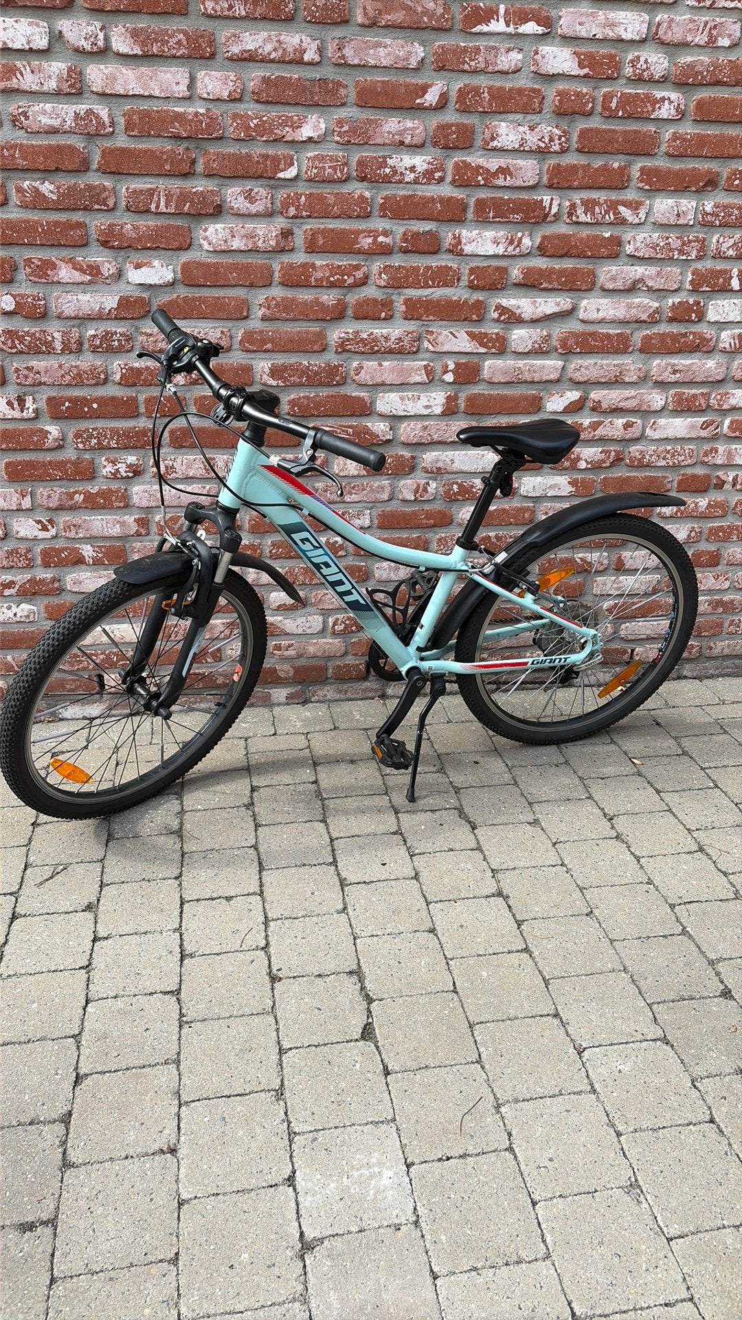 Giant kinderfiets 24 inch, Fietsen en Brommers, Ophalen, Versnellingen, Schijfrem, Gebruikt