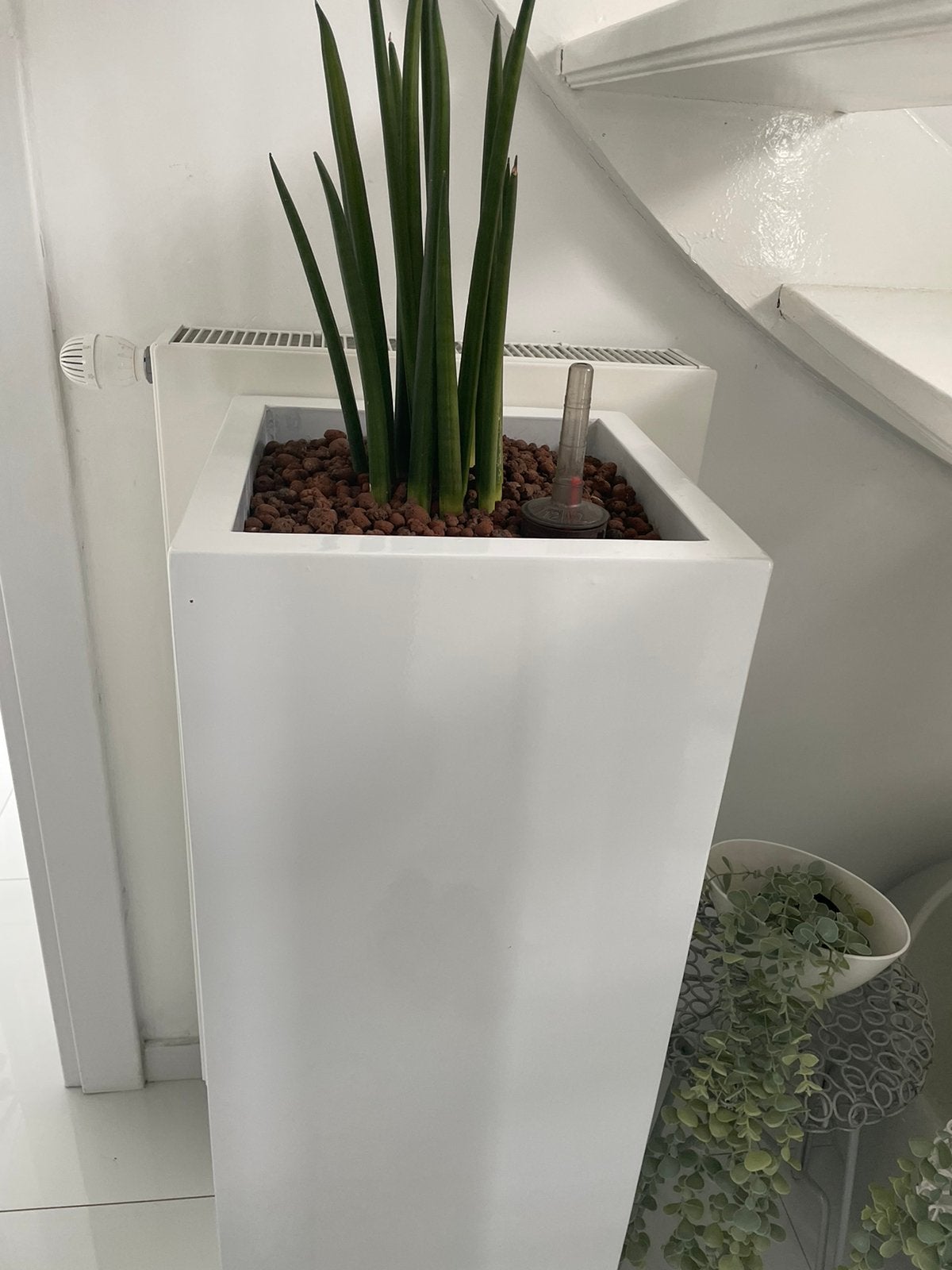 Bloembak met plant, Enlèvement, Comme neuf, Bois