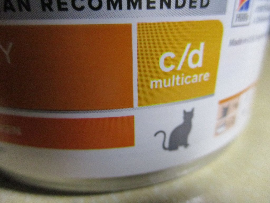 katteneten, Animaux & Accessoires, Enlèvement ou Envoi, Chat