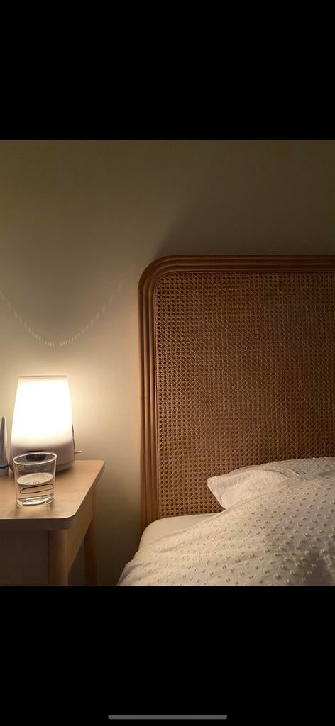 Rotan hoofdbord Zara Home, Enlèvement, Neuf