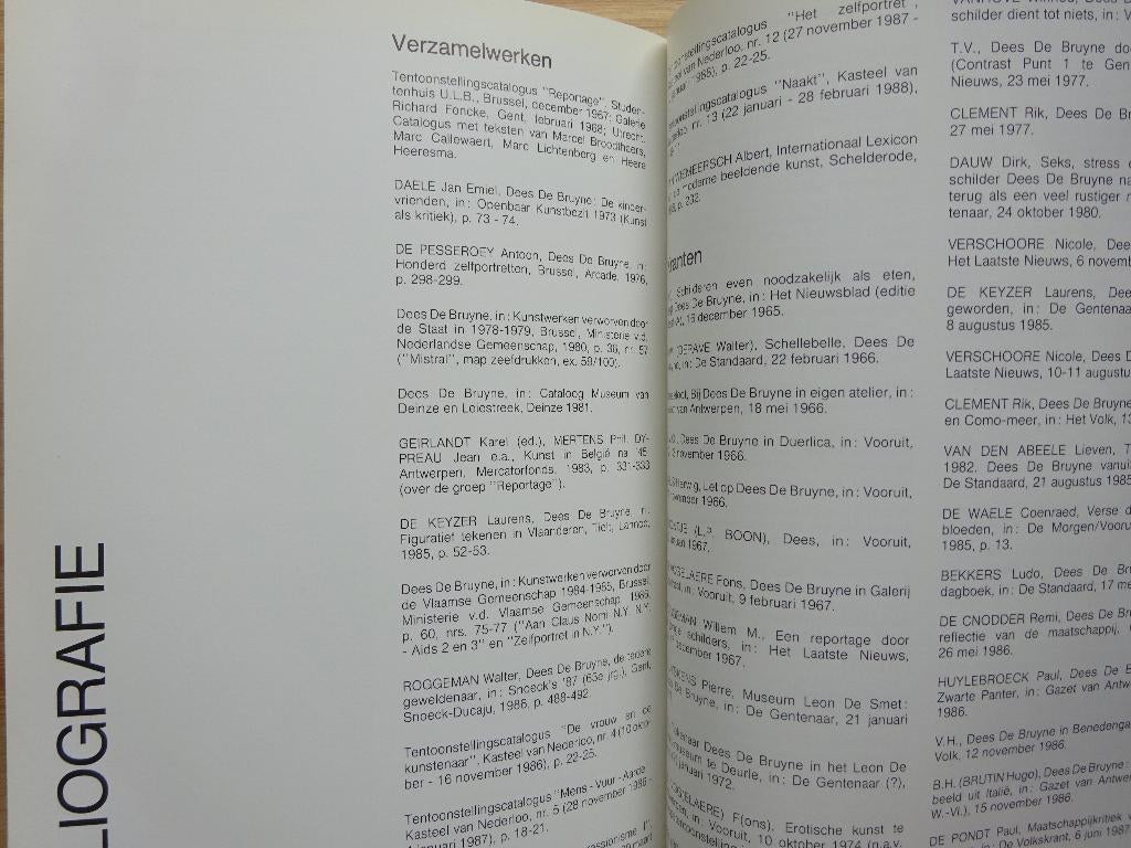Dees De Bruyne, monografie Beeld/Spraak, 1990, Peinture et dessin, Enlèvement ou Envoi, Comme neuf, Paul Huys