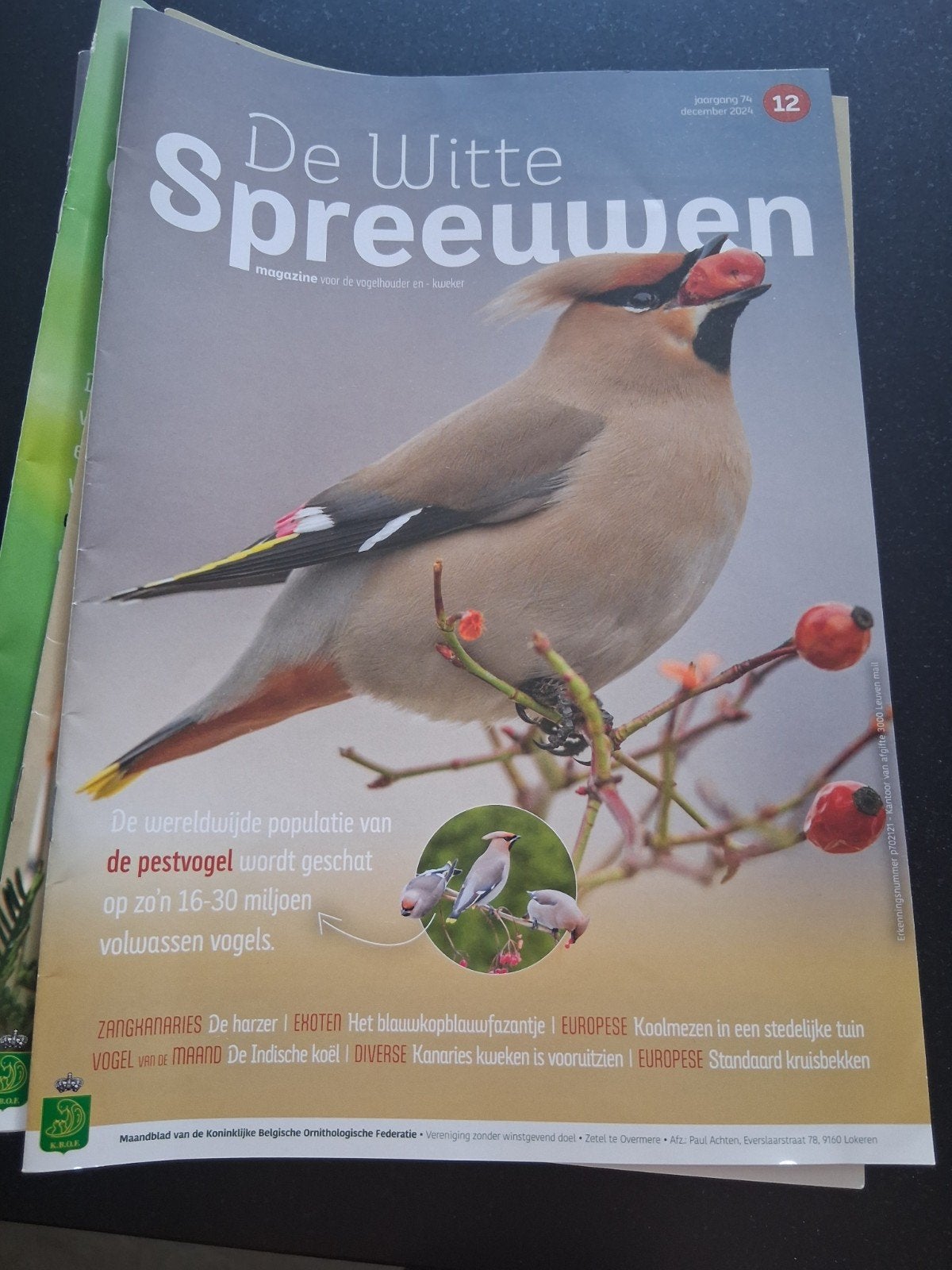 De Witte Spreeuwen, Dieren en Toebehoren, Ophalen