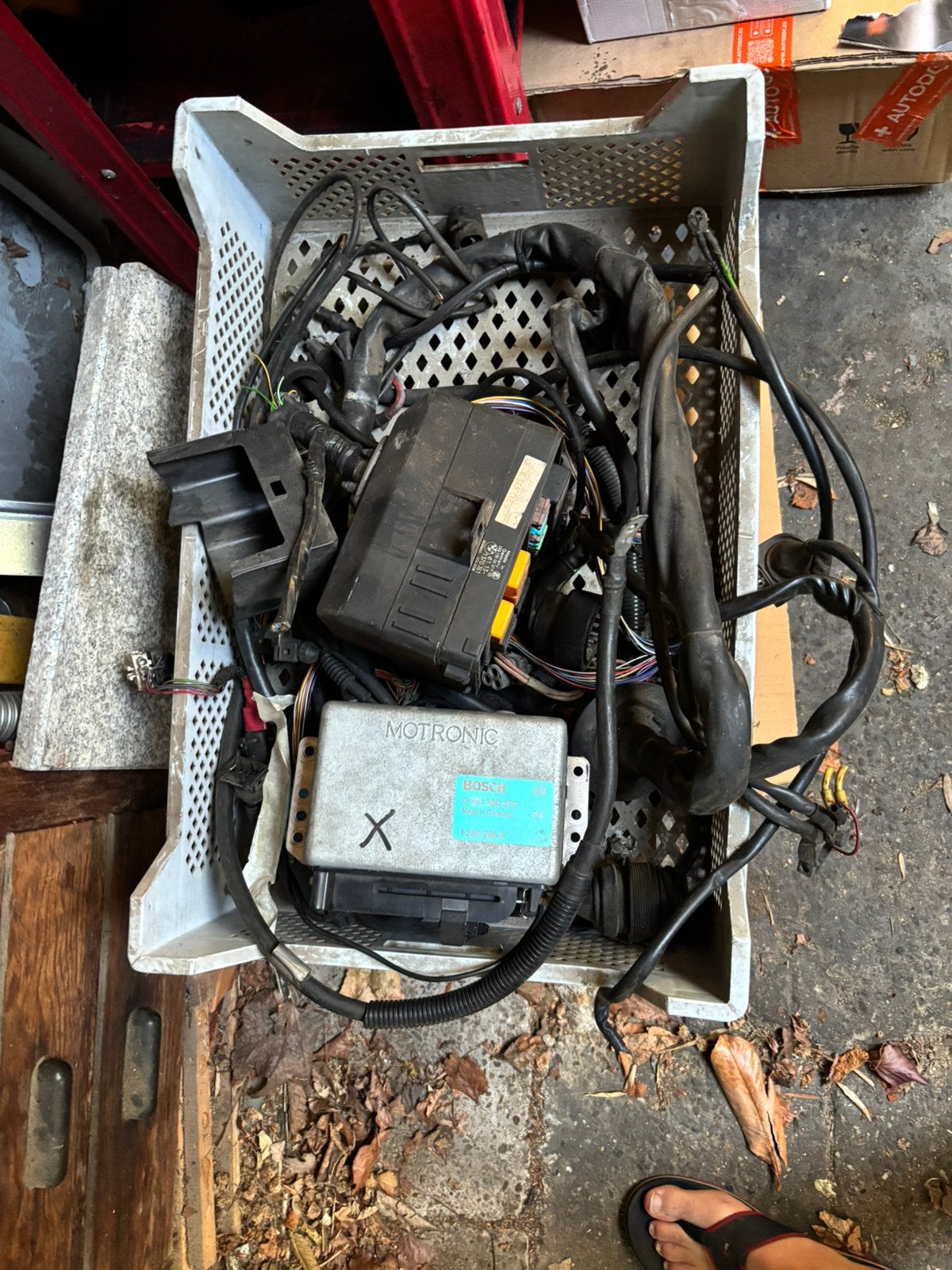 Faisceau de câblage Bmw E30 325i ECU+, Enlèvement, BMW