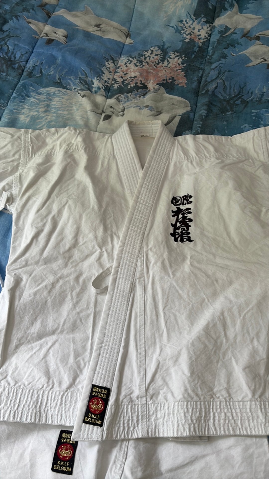 Karatégi SKIF Belgium 140cm, Sports & Fitness, Enlèvement, Utilisé, Karaté