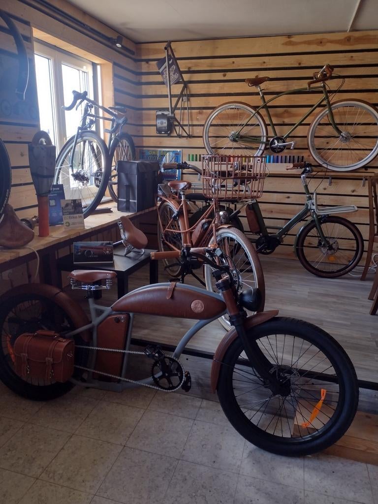 Retro e-bikes van Rayvolt en Achielle, Enlèvement, Neuf, Cruiser