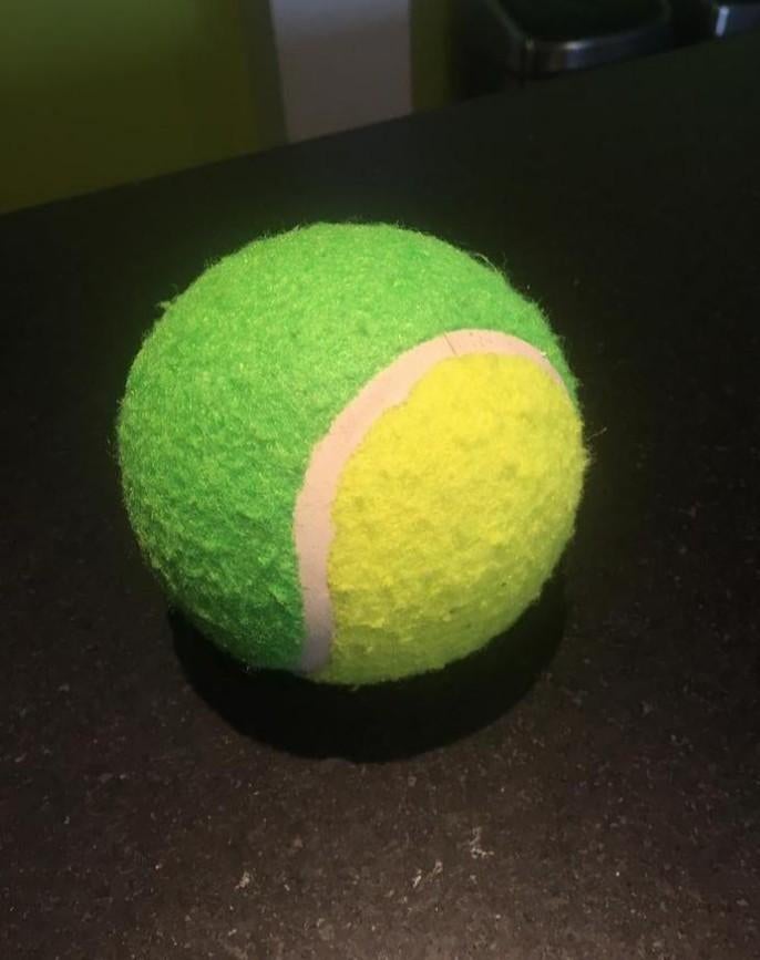 Balle de tennis pour chien de 9,5 cm de diamètre, Enlèvement ou Envoi, Comme neuf
