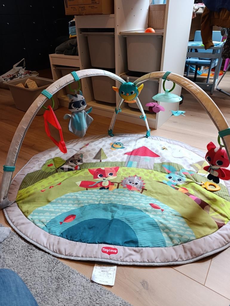 Tapis d'éveil Tiny Love, Enlèvement ou Envoi, Comme neuf