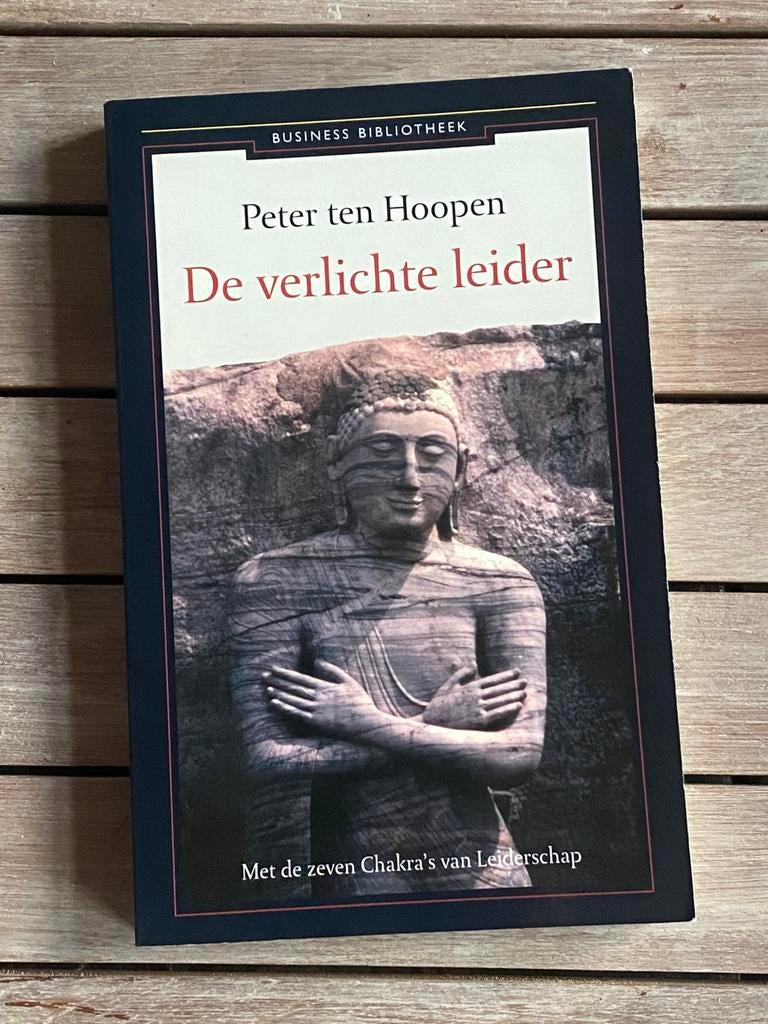 De verlichte leider • Peter Ten Hoopen, Ophalen of Verzenden, Zo goed als nieuw