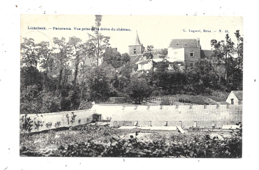 Linkebeek NA21: Panorama. Vue prise de la drève du château 1, Collections, Envoi, Avant 1920, Affranchie, Brabant Flamand