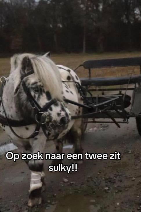 Twee zit sulky gezocht !!, Enlèvement ou Envoi, Comme neuf