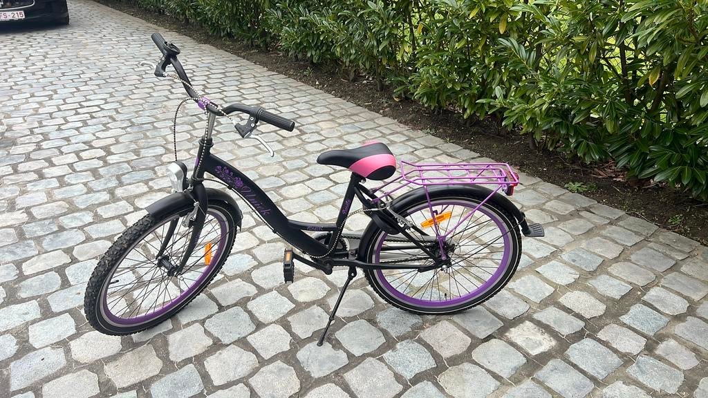 Kinderfietsen : 2 meisjesfietsen en 1 jongensfiets, Ophalen, Gebruikt, 16 tot 20 inch