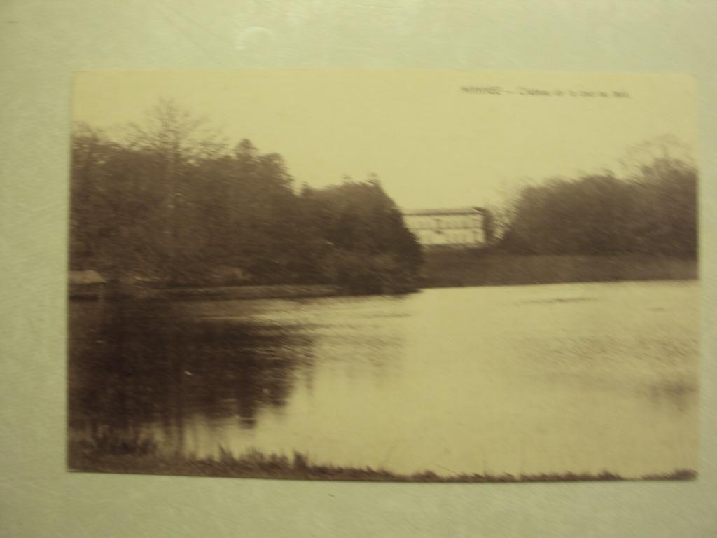 49754 - MANAGE - CHATEAU DE LA COUR AU BOIS, Collections, Cartes postales | Belgique, Enlèvement ou Envoi