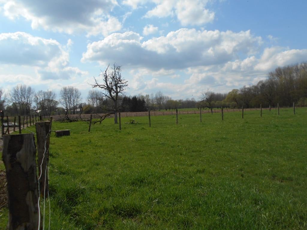 Weide / Landbouwgrond, Immo, Gronden en Bouwgronden, 1500 m² of meer