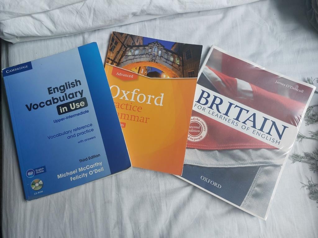 Boeken voor studie leerkracht Engels, Boeken, Taal | Overige Talen, Gelezen, Ophalen of Verzenden