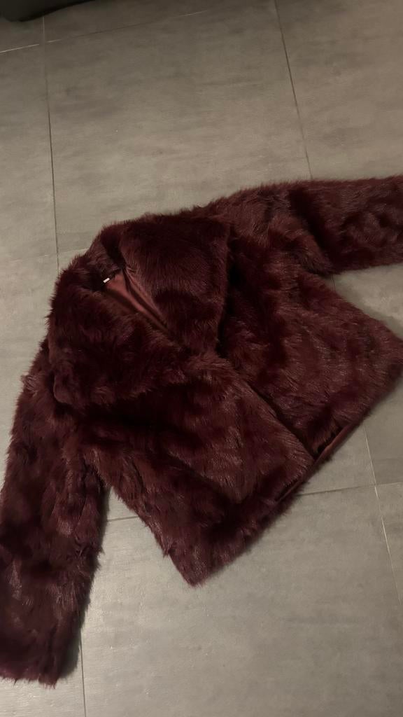 Veste en fourrures, Ophalen of Verzenden, Nieuw, Maat 38/40 (M), Rood
