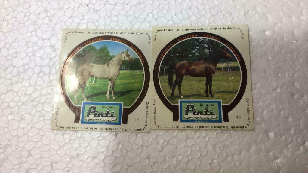 Stickers pinti (w6,1), Verzamelen, Ophalen of Verzenden, Zo goed als nieuw
