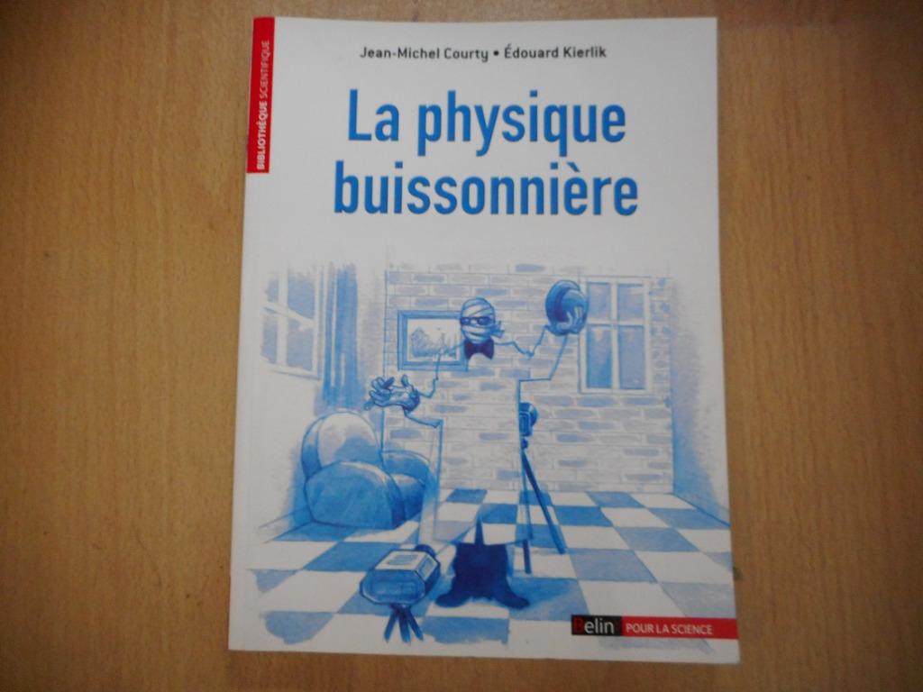 La Physique buissonnière de Jean-Michel Courty et Edouard Ki, Enlèvement ou Envoi, Utilisé, Physique
