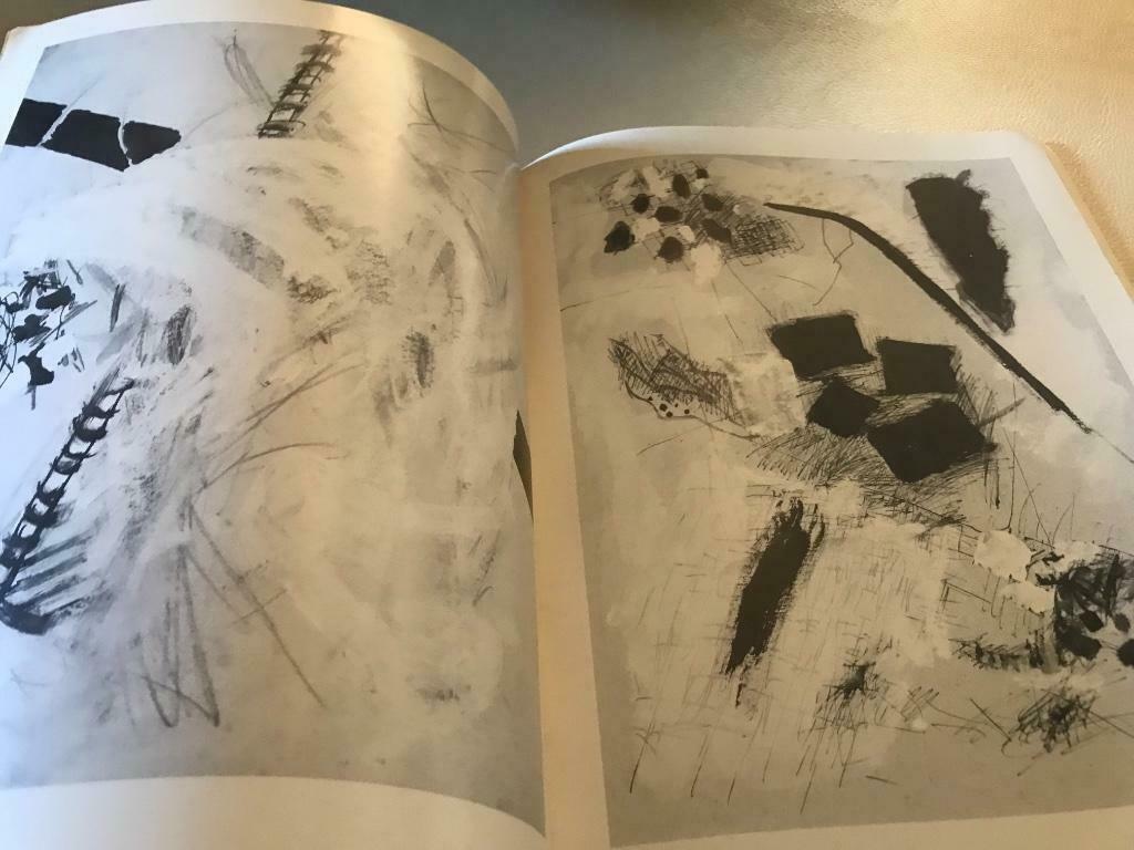 Roger Raveel Tekeningen op 750 excemplaren 75.pag, Boeken, Ophalen of Verzenden, Zo goed als nieuw, Schilder- en Tekenkunst