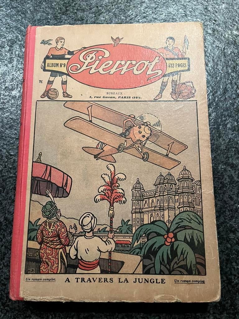 PIERROT door de jungle 1930, Boeken, Gelezen