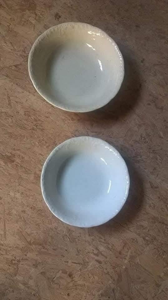 Lot de 2 plats Bosch