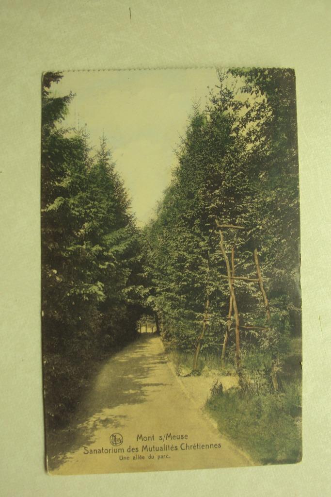 45401 - MONT S/MEUSE - SANATORIUM DES MUT. CHRETIENNES, Envoi